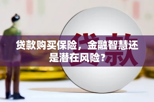 保德贷款购买保险，金融智慧还是潜在风险？