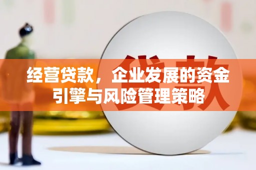 保德经营贷款，企业发展的资金引擎与风险管理策略