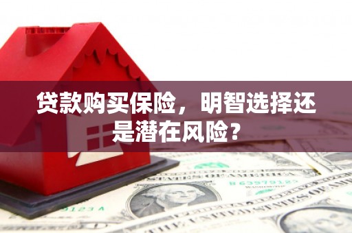 保德贷款购买保险，明智选择还是潜在风险？