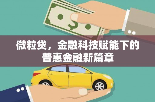 保德微粒贷，金融科技赋能下的普惠金融新篇章