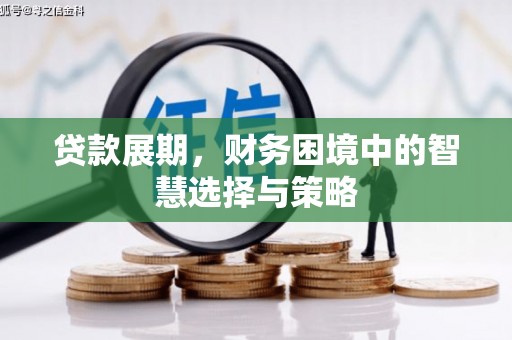 保德贷款展期，财务困境中的智慧选择与策略