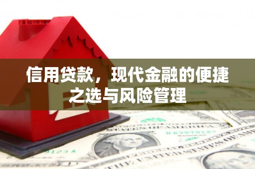 保德信用贷款，现代金融的便捷之选与风险管理