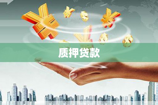 保德质押贷款