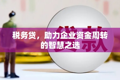 保德税务贷，助力企业资金周转的智慧之选