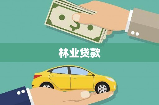 保德林业贷款