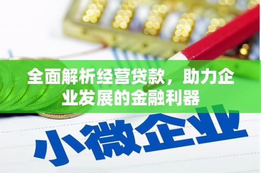 保德全面解析经营贷款，助力企业发展的金融利器
