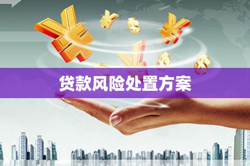 保德贷款风险处置方案