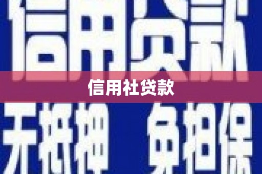保德信用社贷款