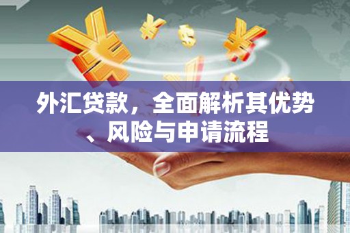 保德外汇贷款，全面解析其优势、风险与申请流程