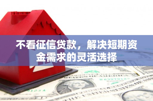保德不看征信贷款，解决短期资金需求的灵活选择
