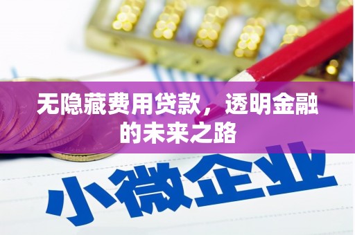 保德无隐藏费用贷款，透明金融的未来之路