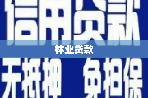 保德林业贷款
