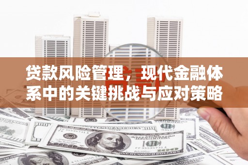 保德贷款风险管理，现代金融体系中的关键挑战与应对策略