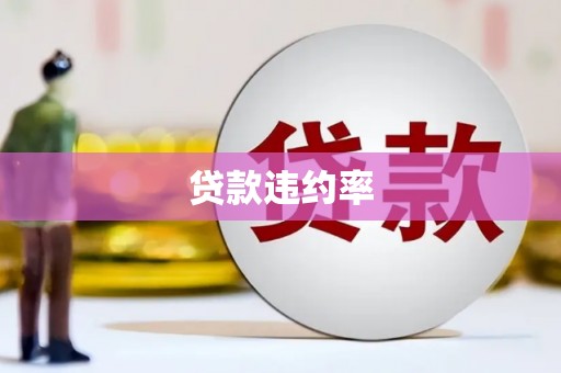 保德贷款违约率