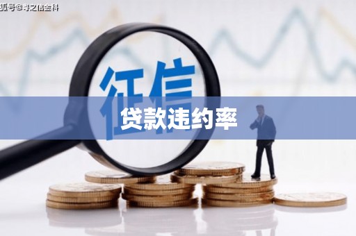 保德贷款违约率