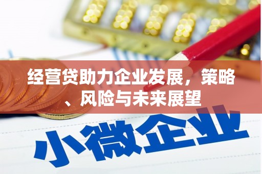 保德经营贷助力企业发展，策略、风险与未来展望