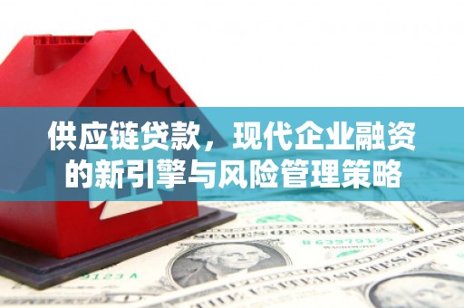 保德供应链贷款，现代企业融资的新引擎与风险管理策略