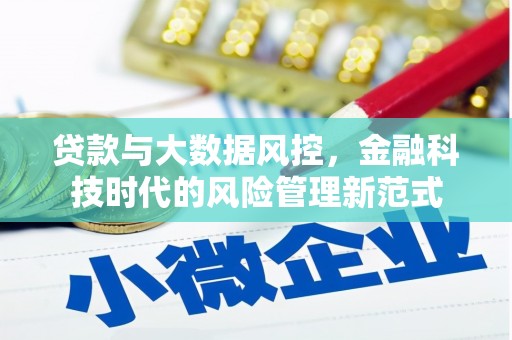 保德贷款与大数据风控，金融科技时代的风险管理新范式