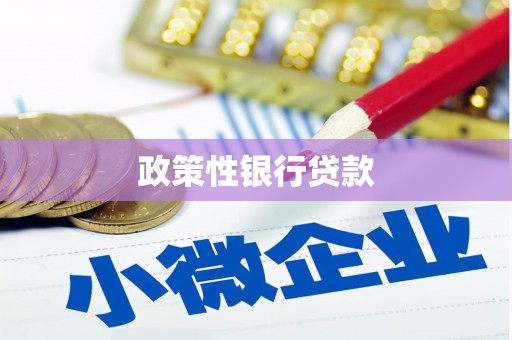保德政策性银行贷款