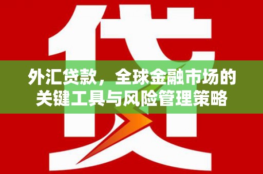 保德外汇贷款，全球金融市场的关键工具与风险管理策略