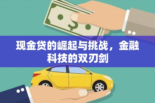 保德现金贷的崛起与挑战，金融科技的双刃剑