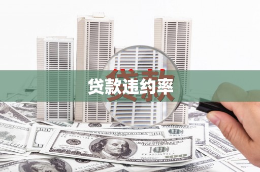 保德贷款违约率