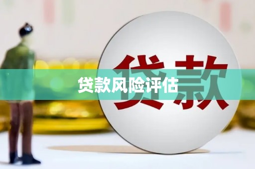 保德贷款风险评估