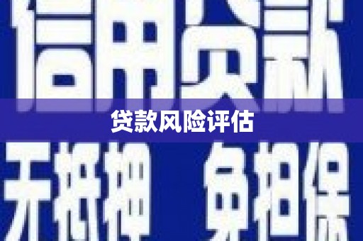 保德贷款风险评估