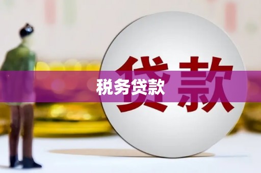 保德税务贷款