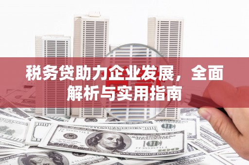 保德税务贷助力企业发展，全面解析与实用指南