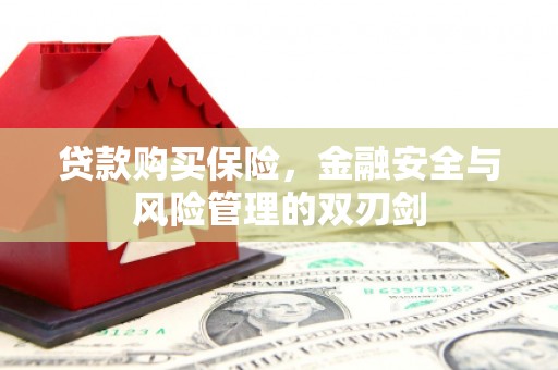 保德贷款购买保险，金融安全与风险管理的双刃剑