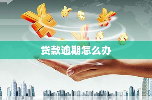 保德贷款逾期怎么办