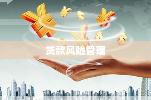 保德贷款风险管理