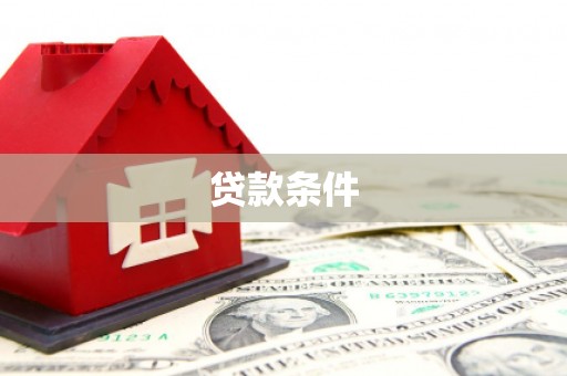 保德贷款条件