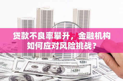 保德贷款不良率攀升，金融机构如何应对风险挑战？