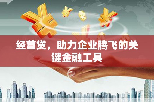 保德经营贷，助力企业腾飞的关键金融工具