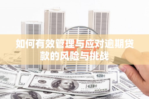保德如何有效管理与应对逾期贷款的风险与挑战