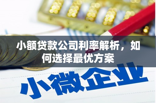 保德小额贷款公司利率解析，如何选择最优方案