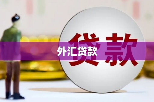 保德外汇贷款
