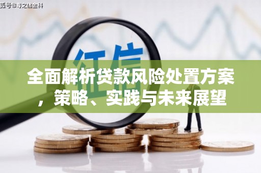 保德全面解析贷款风险处置方案，策略、实践与未来展望