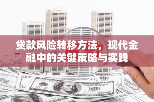 保德贷款风险转移方法，现代金融中的关键策略与实践
