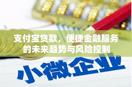保德支付宝贷款，便捷金融服务的未来趋势与风险控制
