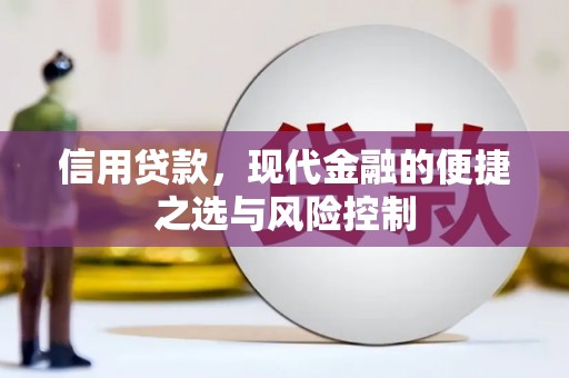保德信用贷款，现代金融的便捷之选与风险控制