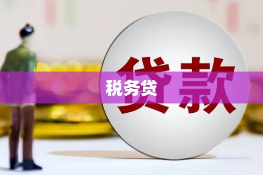 保德税务贷