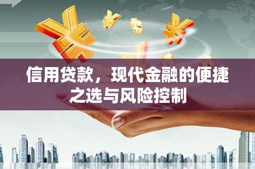 保德信用贷款，现代金融的便捷之选与风险控制