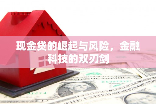 保德现金贷的崛起与风险，金融科技的双刃剑