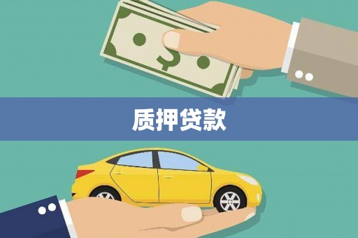 保德质押贷款
