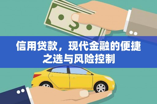保德信用贷款，现代金融的便捷之选与风险控制