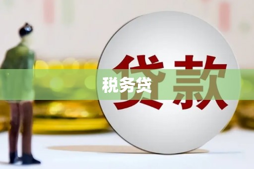 保德税务贷