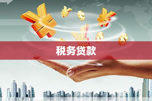 保德税务贷款
